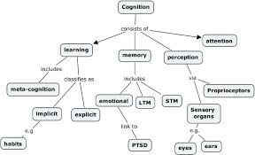 Cognition